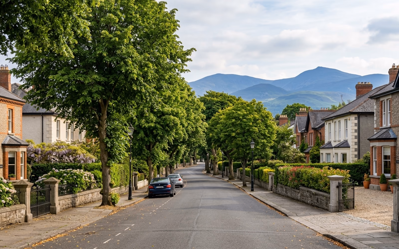 Painters and decorators in South County Dublin